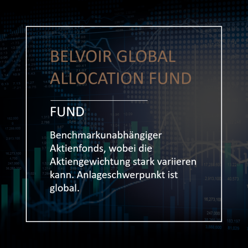 Belvoir Global Allocation Fund_Overview Image_DE